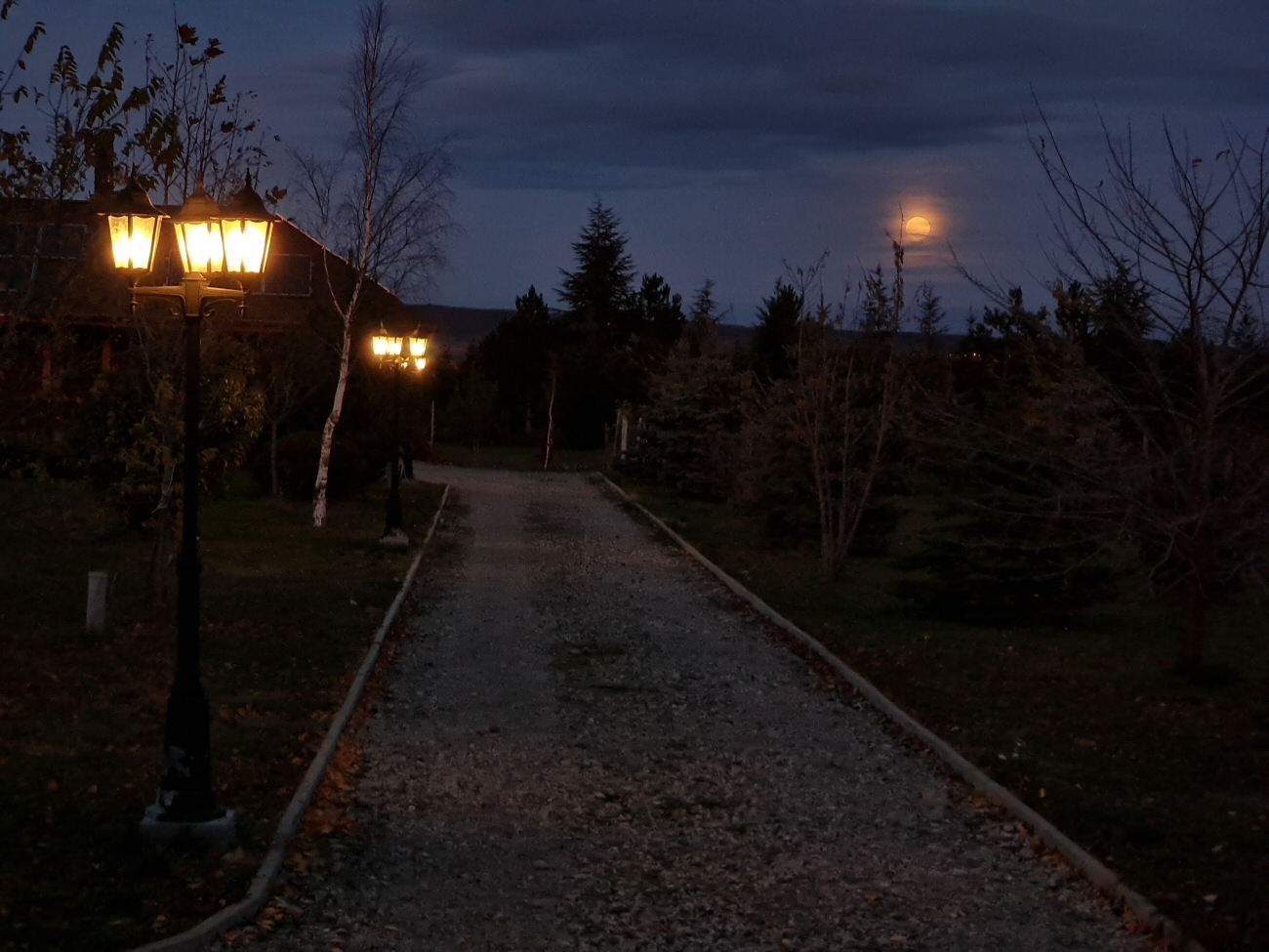 Van éjszakai élet a lemerült szolárlámpákon túl is!